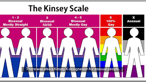 Kinsey Scale Sexuality Test